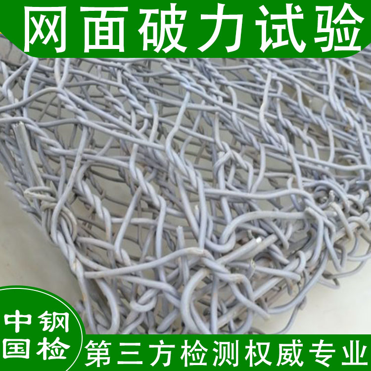 广西中铁十局柔性防护网检测成功案例