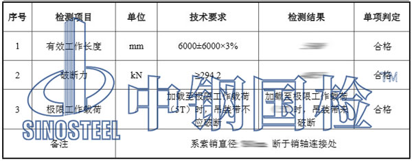 吊带检测项目结果