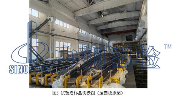 试验后样品实景图