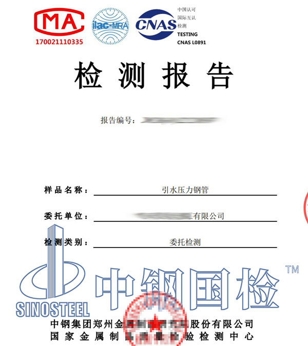 压力钢管检测报告