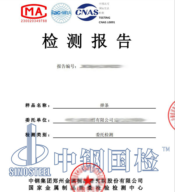 弹条检测报告