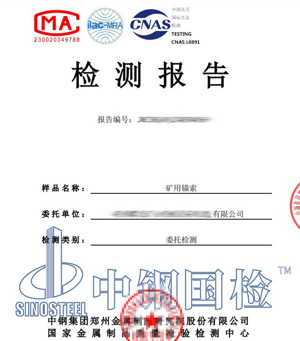 锚索第三方检测报告