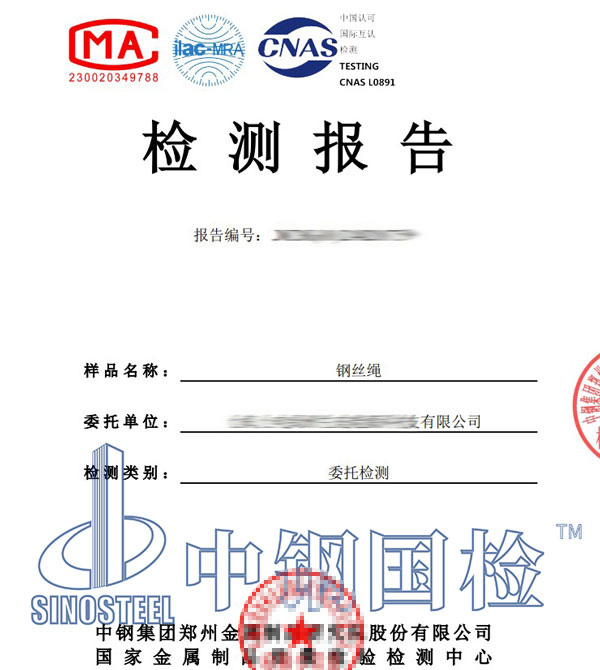 钢丝绳检测报告
