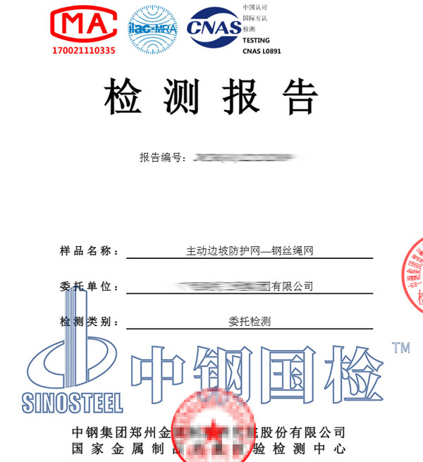 边坡防护网检测报告