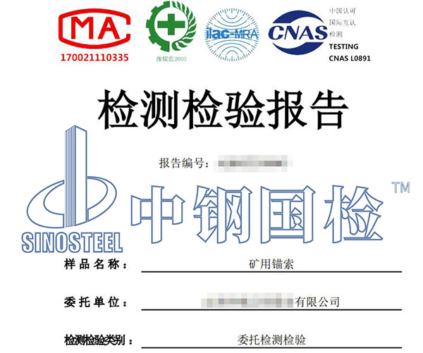 锚索拉拔检测报告