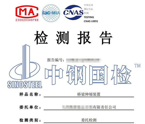 伸缩装置检测报告