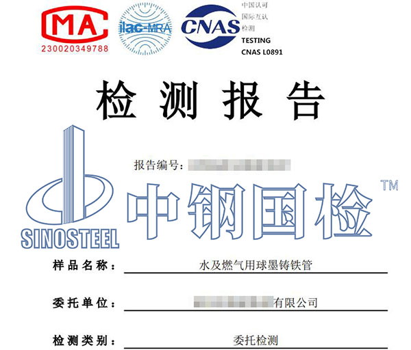 球墨铸铁件检测报告