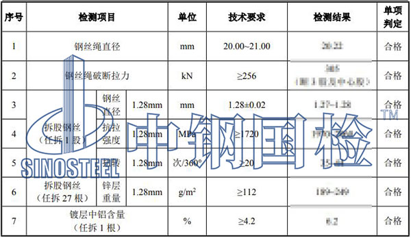 钢丝绳检测结果